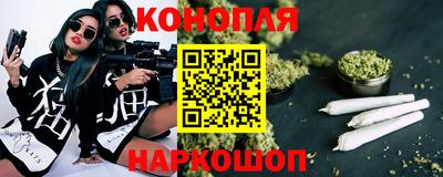 гидра Малгобек