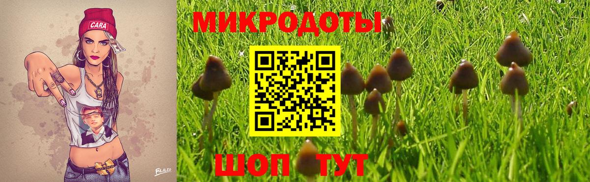 Псилоцибиновые грибы Magic Shrooms  Галлюциногенные грибы Cubensis  Грозный  Вход с VPN 